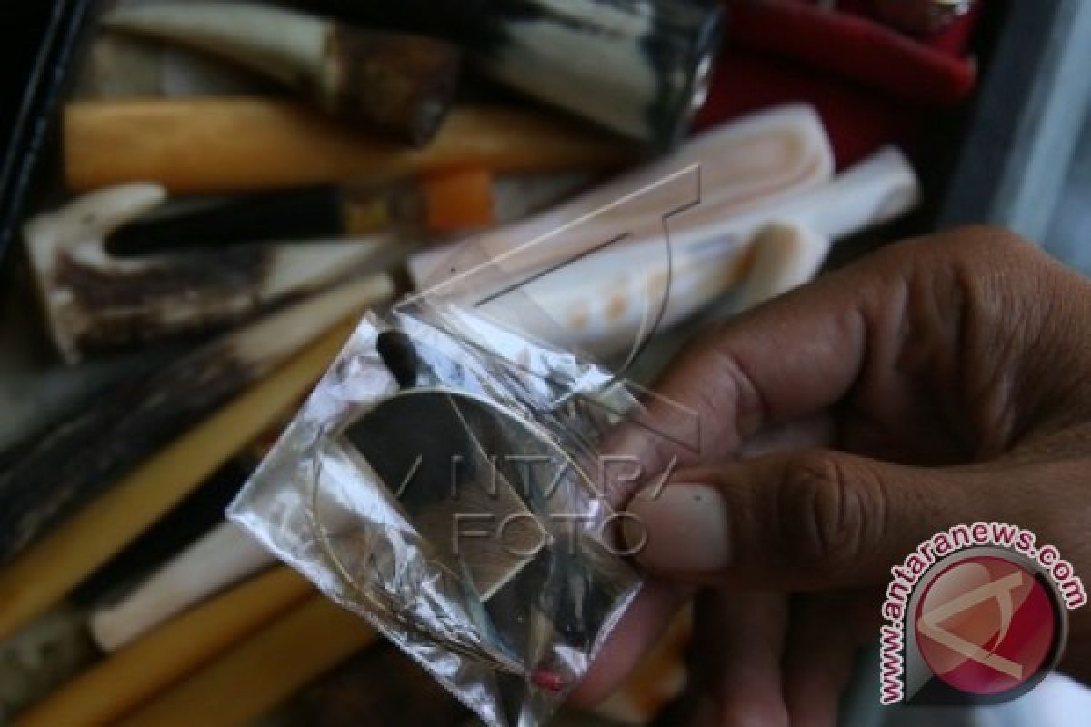 Perdagangan Organ Satwa Dilindungi