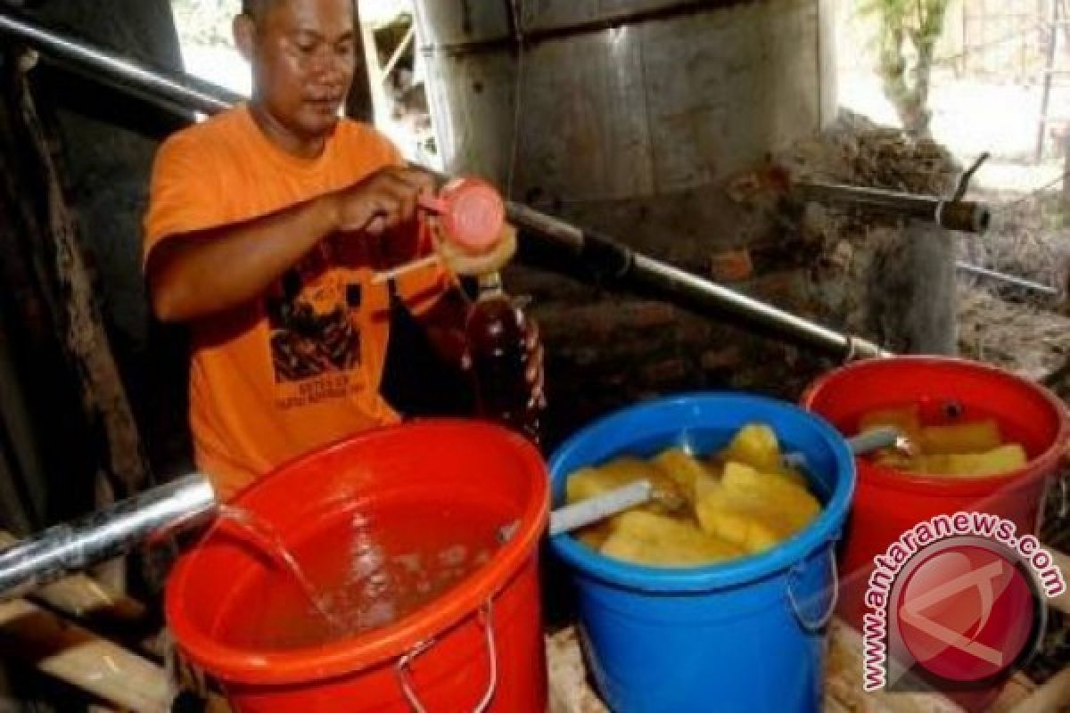 Kota Solok Jadikan Minyak Atsiri Produk Unggulan