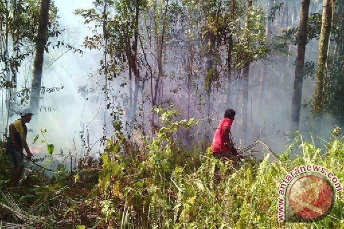 Dishutbun: Kebakaran Gunung Soputan dari Minahasa Selatan