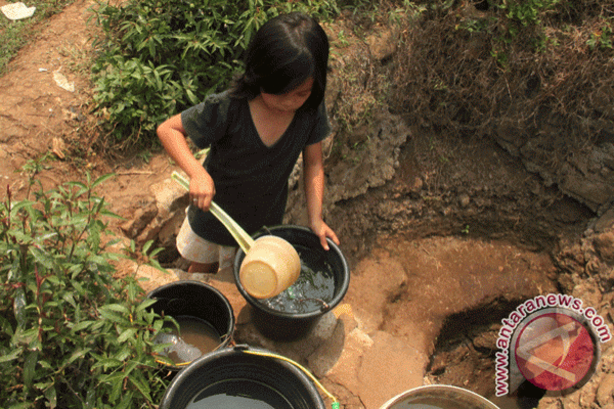 Enam belas kecamatan di Lebak kekeringan