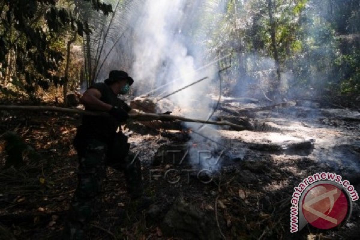 DPR nilai penanganan karhutla di Indonesia masih kurang efektif