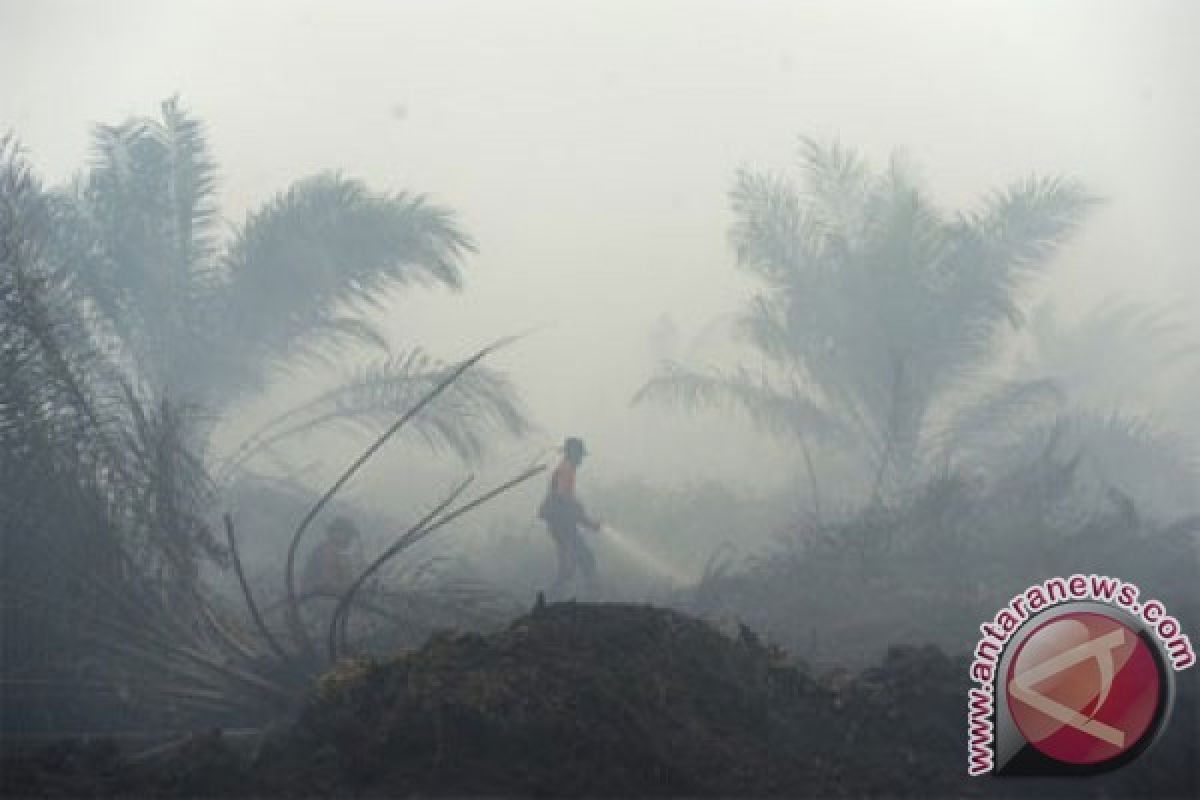 Walhi to assist haze victims in taking legal action