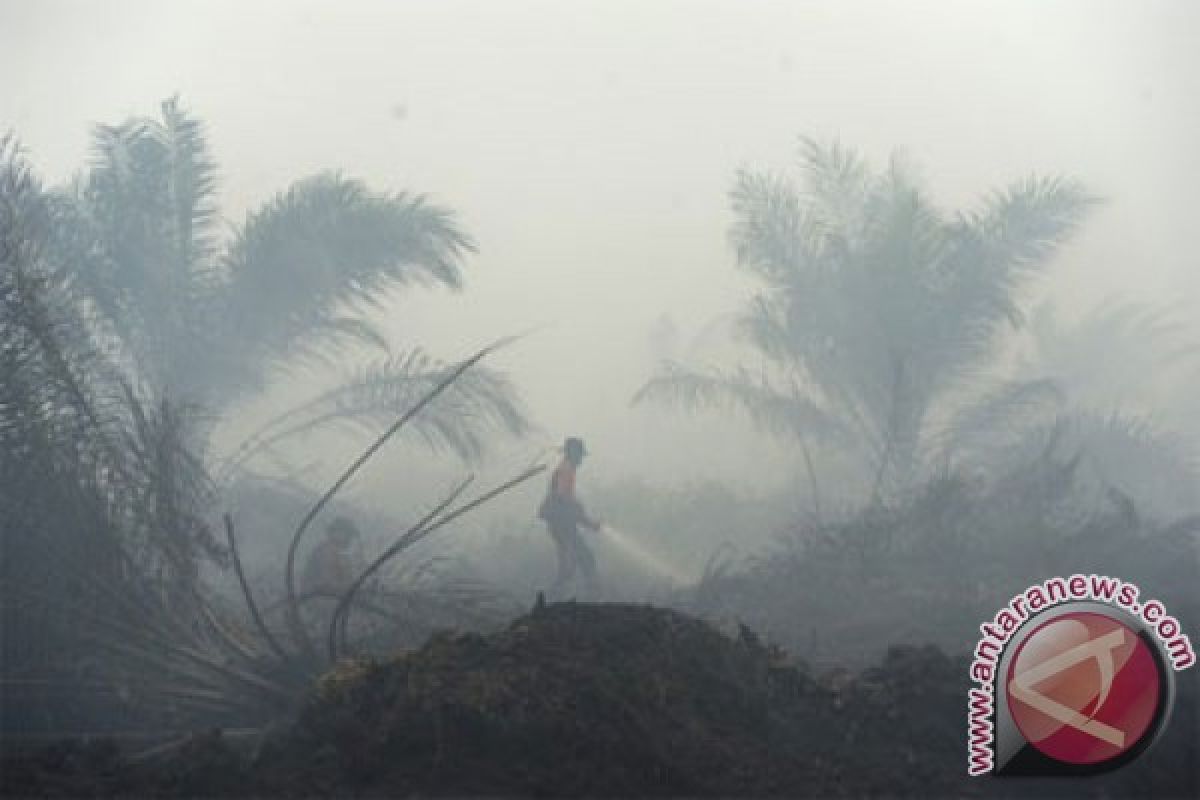 107 orang jadi tersangka kasus pembakaran hutan