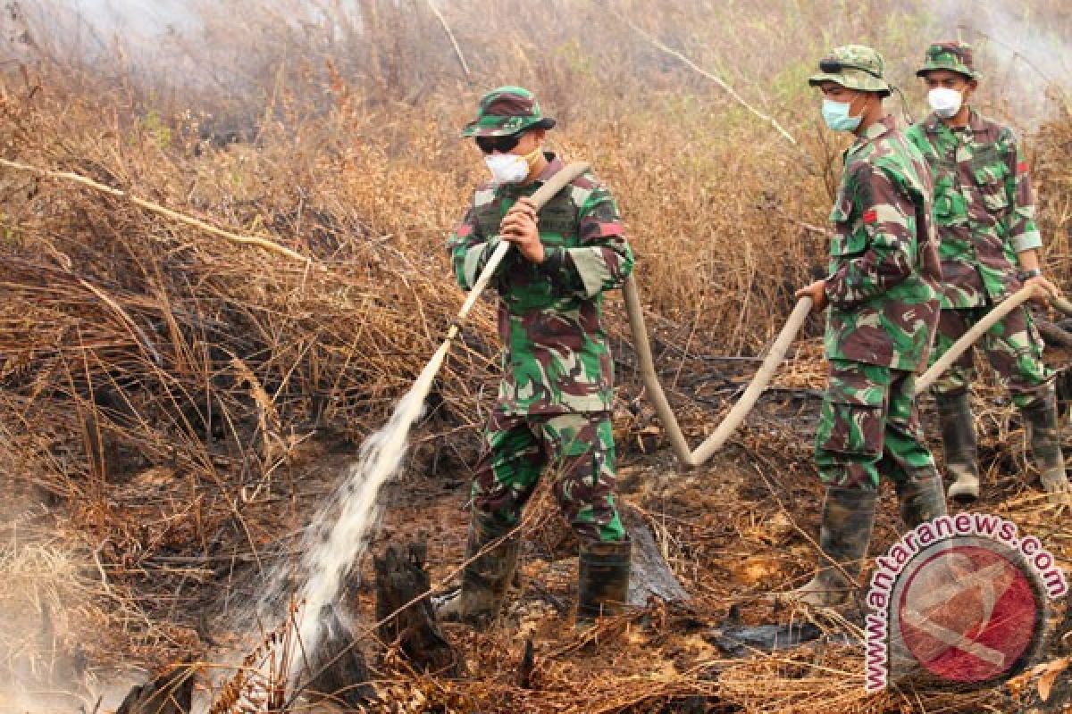 TNI kerahkan 1.059 personel ke Riau