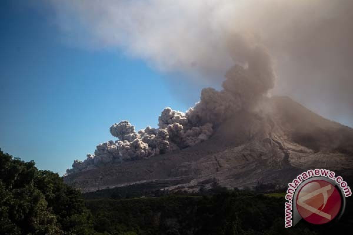 Letusan Gunung Sinabung Terbesar dalam Seminggu Terakhir