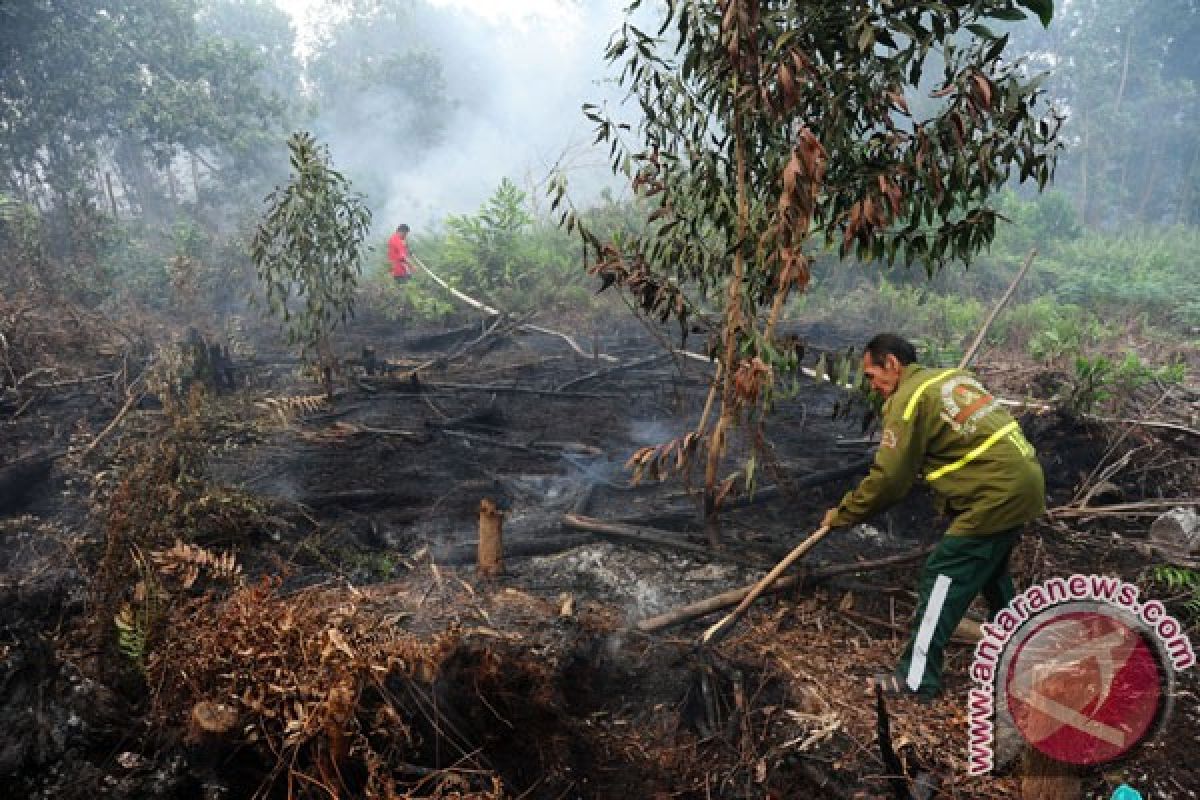 Menhut apresiasi penanganan karhutla Kalbar