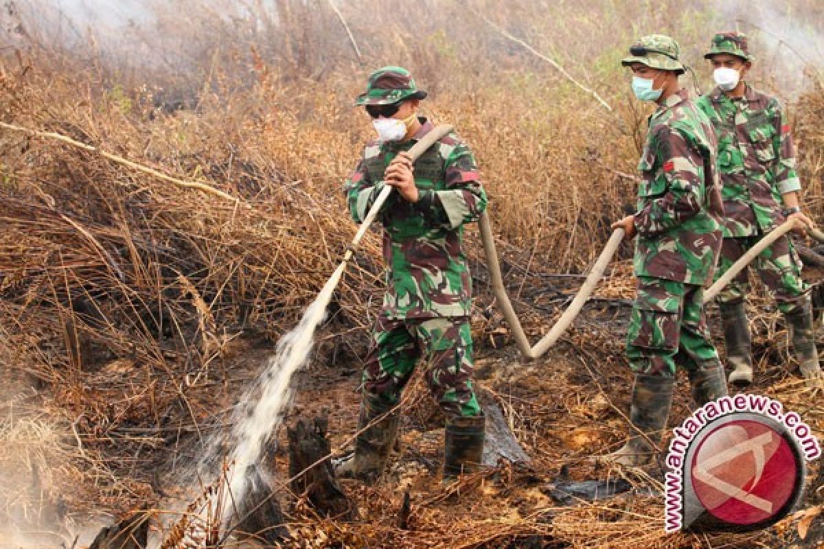  BNPB kirim 2.909 personel TNI /Polri tangani darurat asap