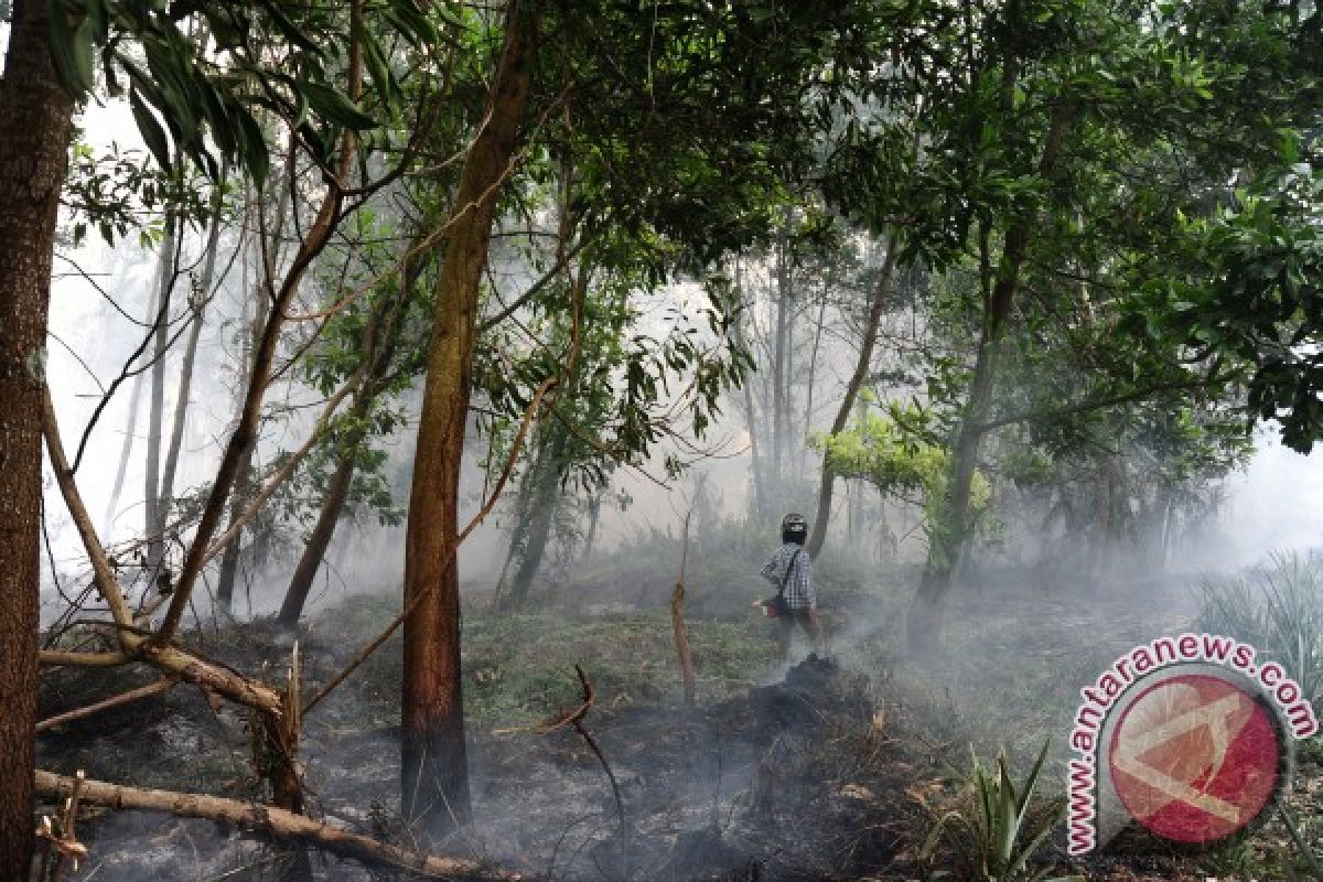 Manggala Agni Tangani Tiga Kasus Karhutla Singbebas