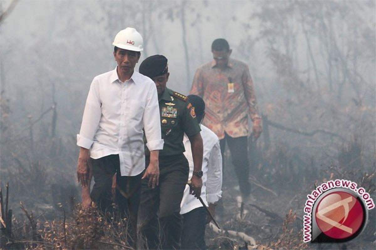 Presiden Umumkan Terbentuknya Badan Restorasi Gambut