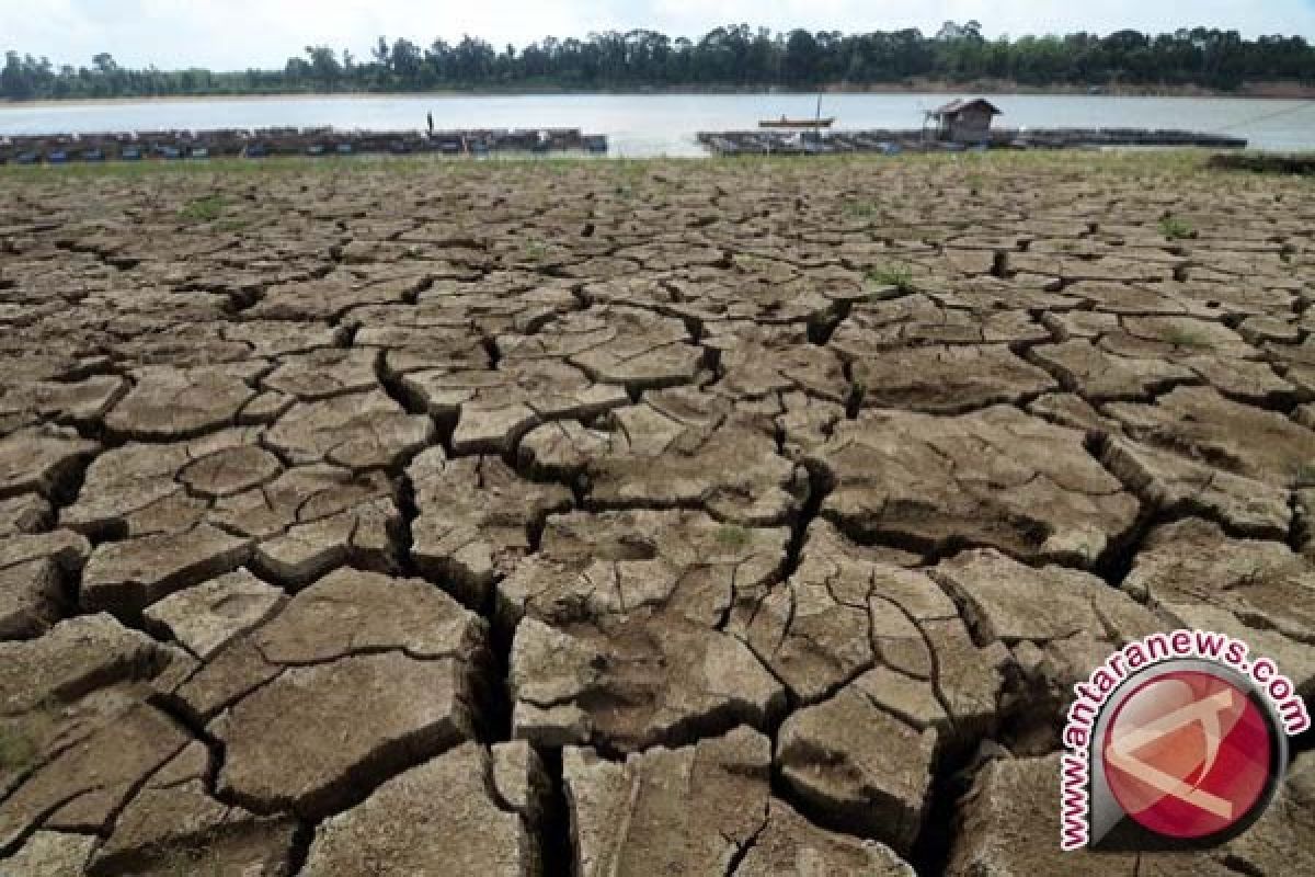 Kategori awas kekeringan terjadi di 14 kecamatan Sulut, sebut BMKG