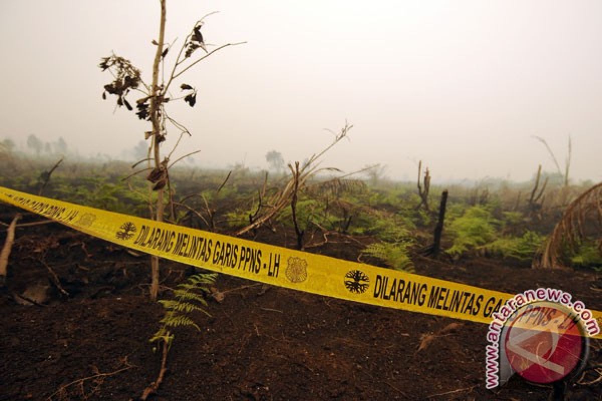 15 penyidik Polri bantu selidiki kebakaran hutan