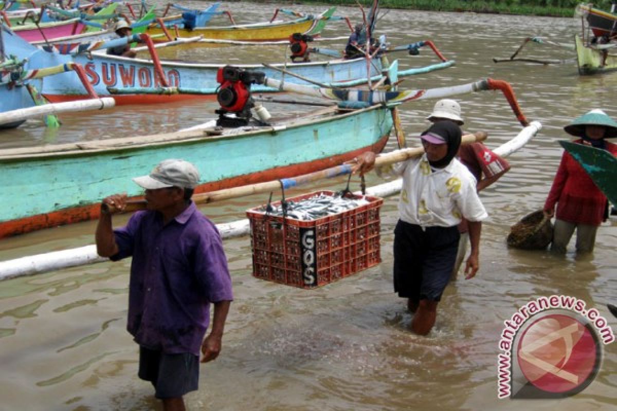 Musim Panen Ikan Nelayan Jember Waspadai Ombak Tinggi 