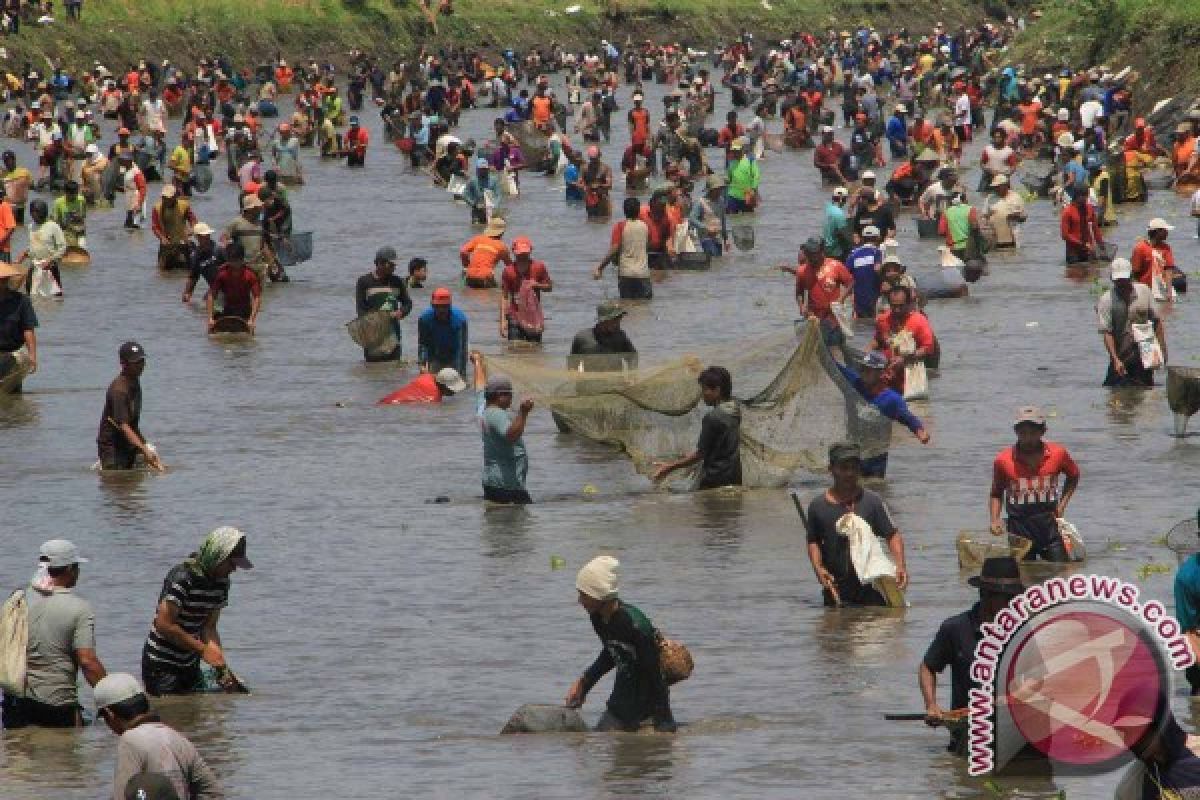 Warga Berebut Ikan dalam Tradisi Pladu Tulungagung