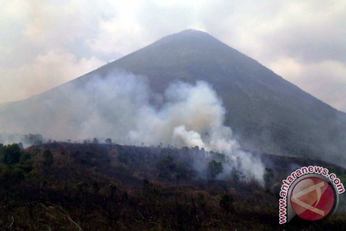 Hutan di Gunung Lamongan Terbakar 400 Hektare