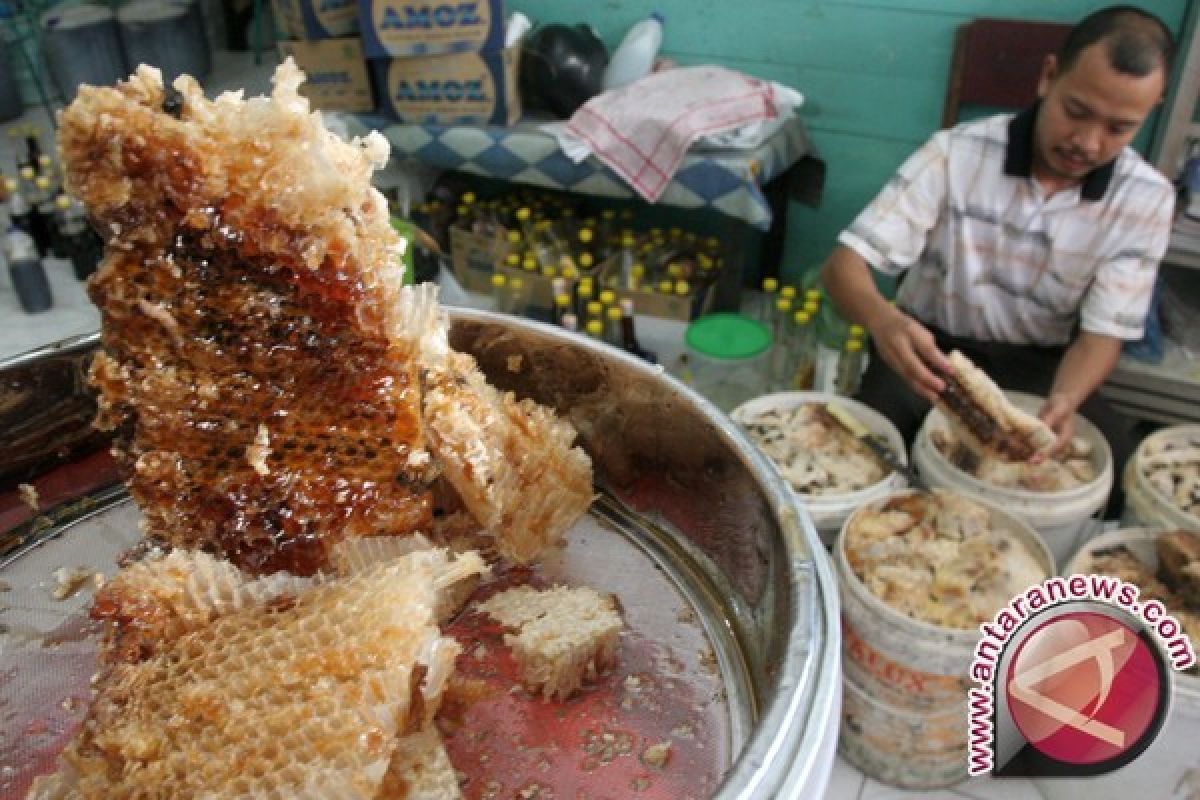 Bangka Barat Sarankan Petani Madu Jaga Produksi