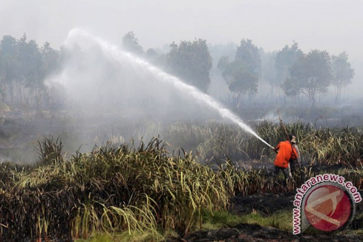 Polri rilis tujuh perusahaan terlibat pembakaran lahan