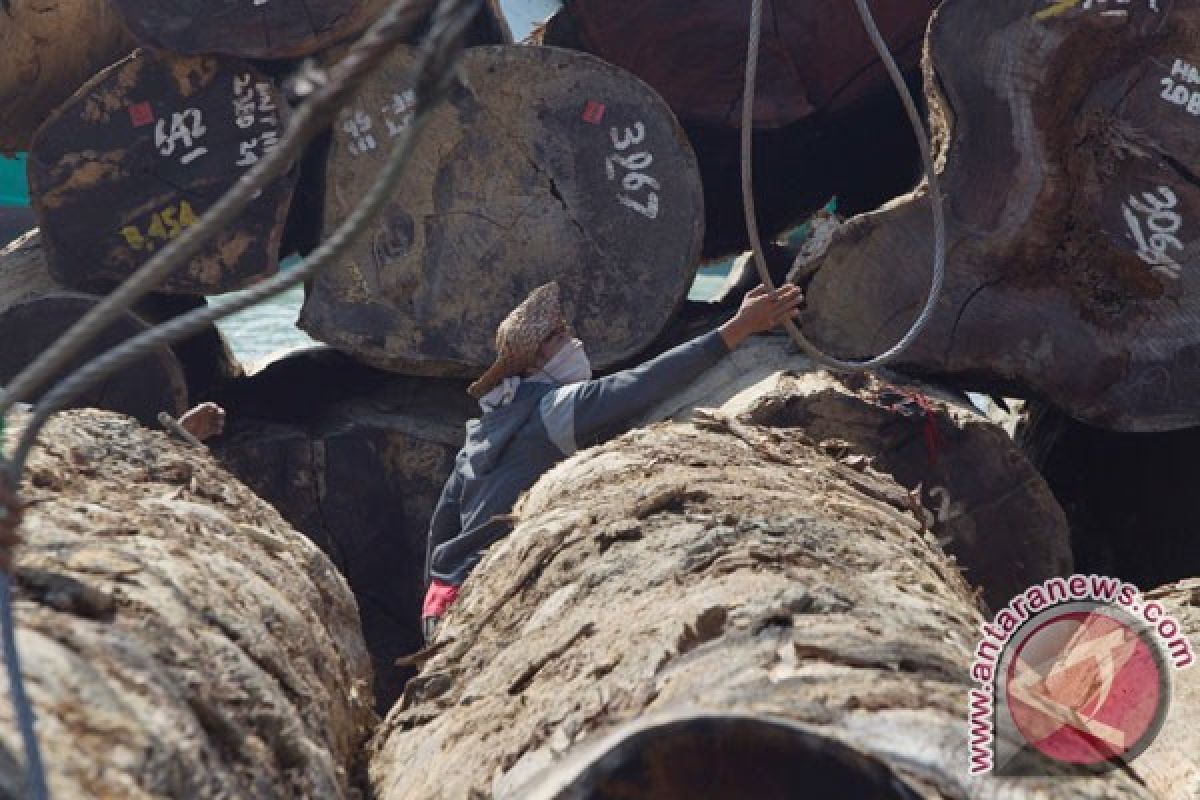 DPRD Buton Utara pertanyakan maraknya pengolahan kayu