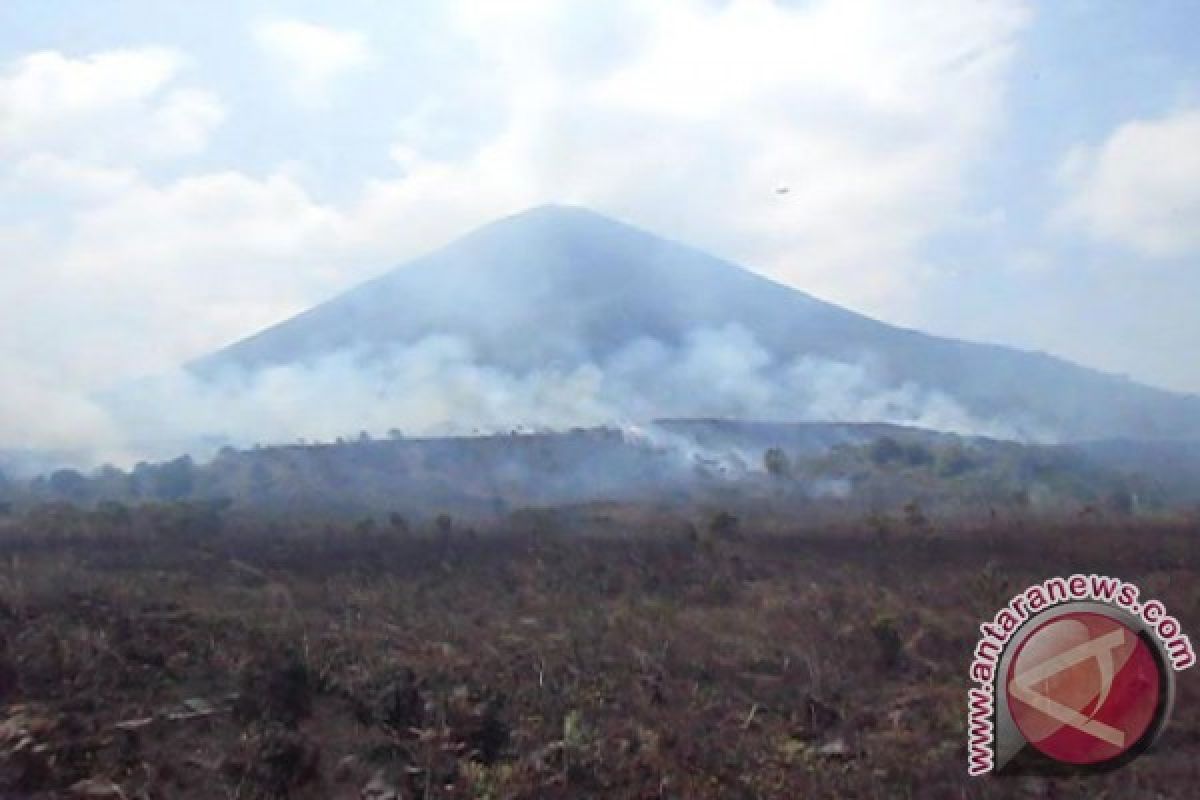 Kebakaran Hutan Gunung Lemongan di Lumajang Padam