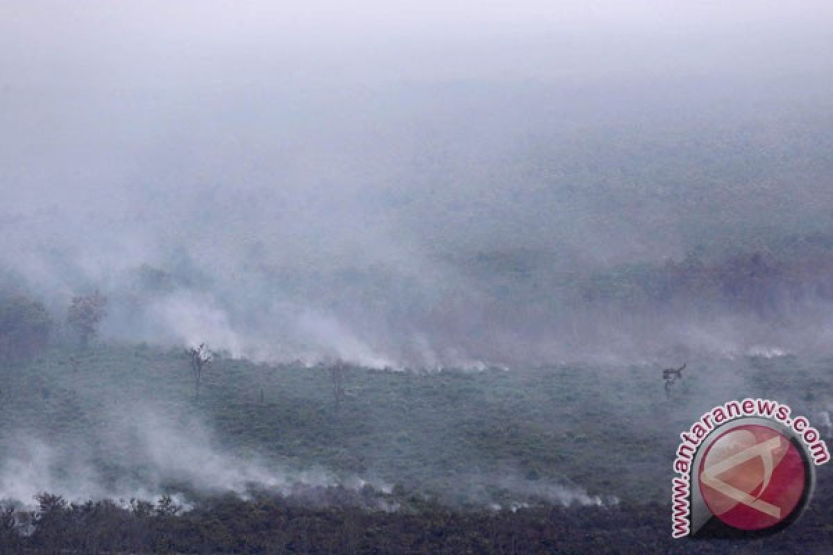 58.000 hektare hutan dan lahan Sumatera terbakar