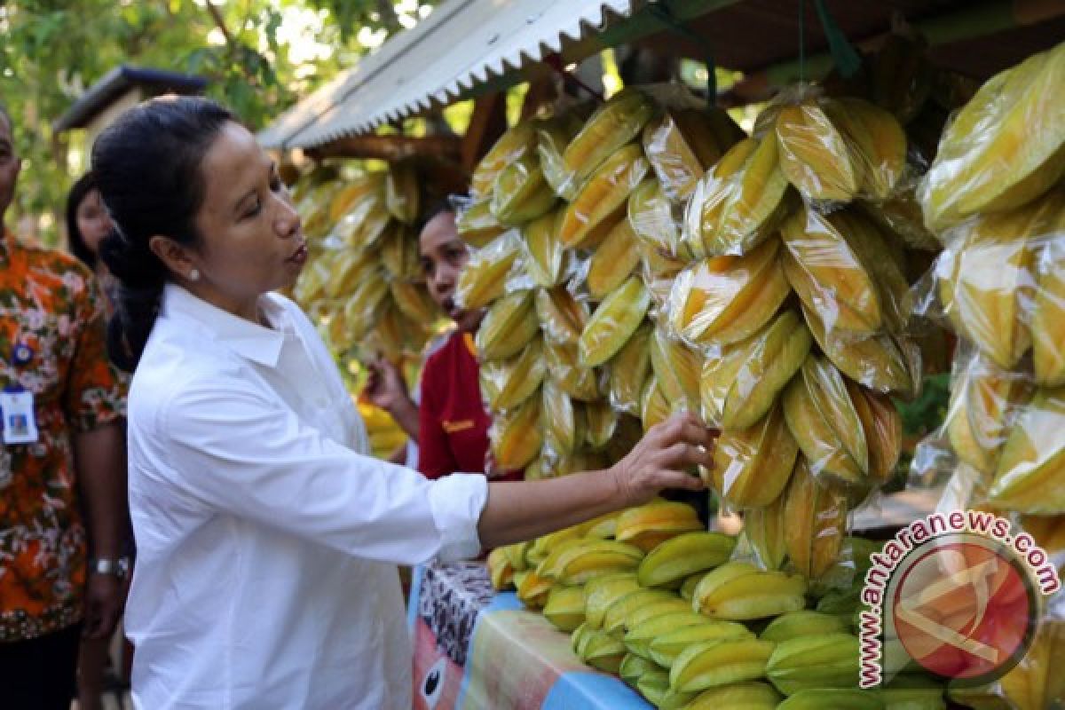 Menteri BUMN: Indonesia Berpotensi Besar Jadi Digdaya