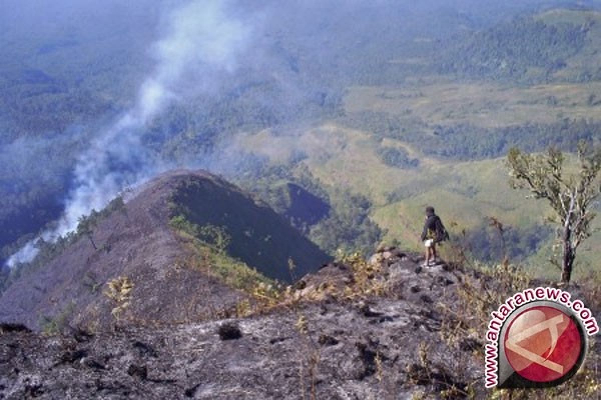 100 Hektare Padang Sabana Gunung Rinjani Terbakar