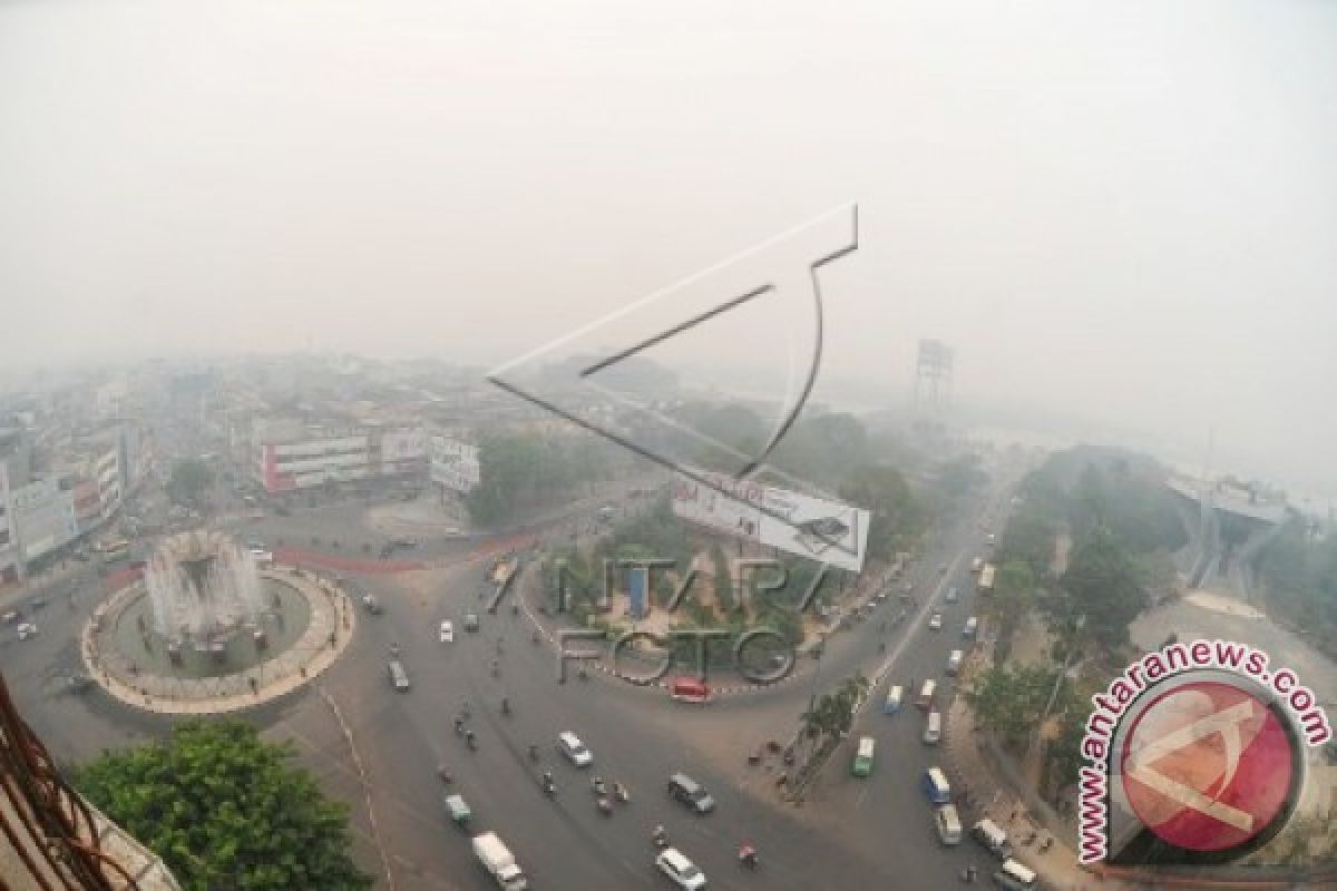 2.400 Hektare Kebun Terbakar Di Sumsel