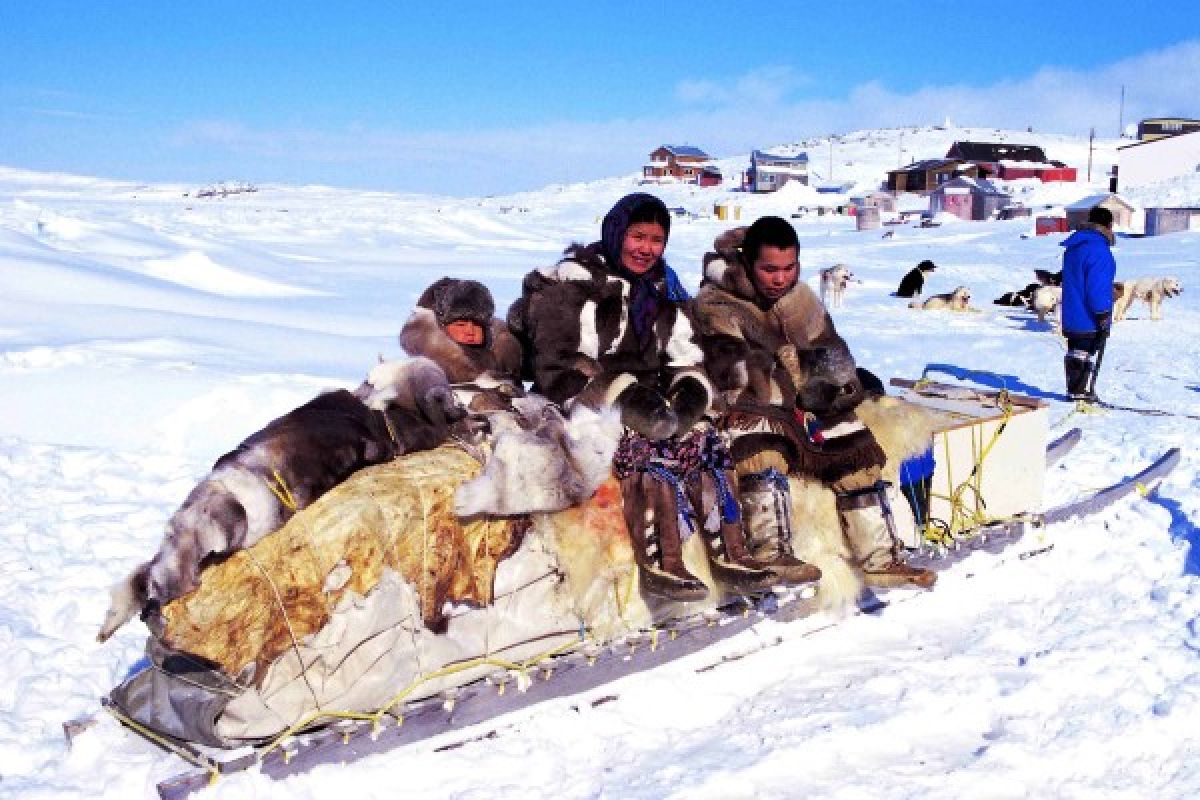 Mutasi gen jelaskan adaptasi Inuit pada diet berlemak tinggi
