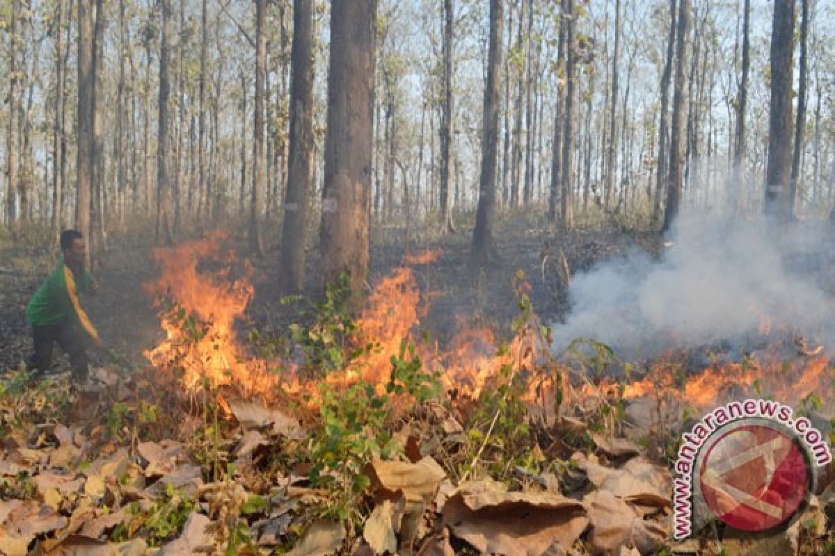 Sebuah Balon Udara Jatuh Bakar Hutan Trenggalek