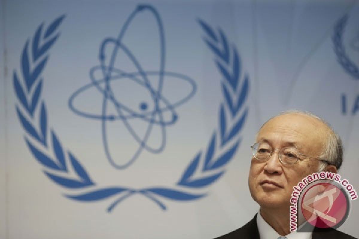  IAEA terus selidiki rencana nuklir Iran