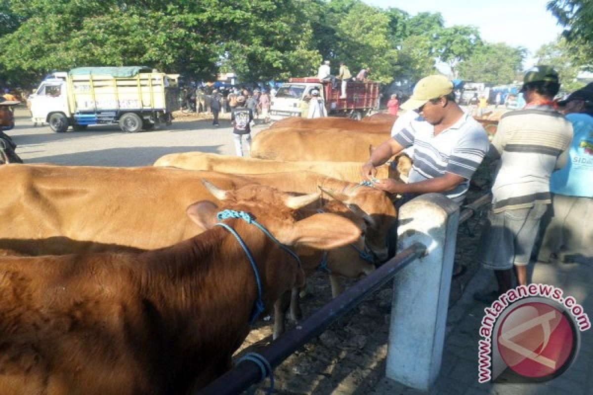 Dinas Peternakan Bojonegoro Akan Pantau Kesehatan Hewan Kurban