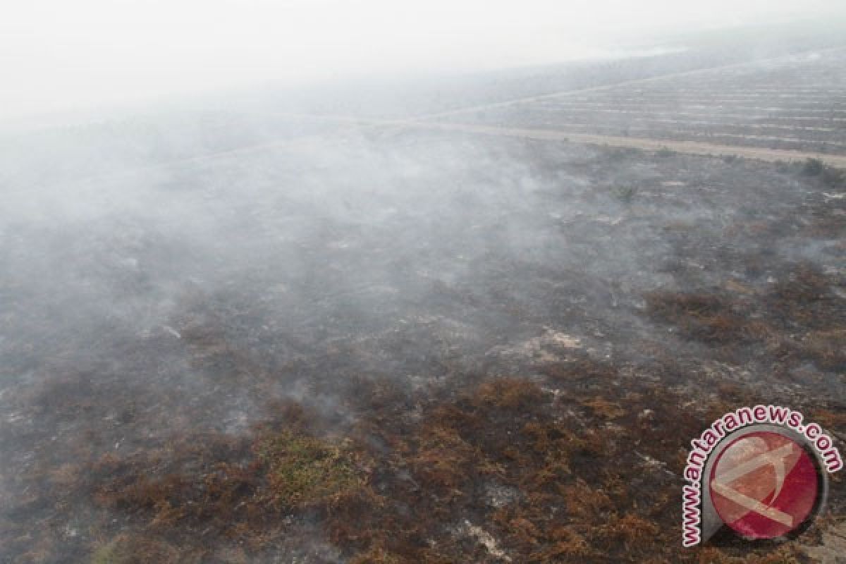 Jarak pandang di Muara Teweh 50 meter