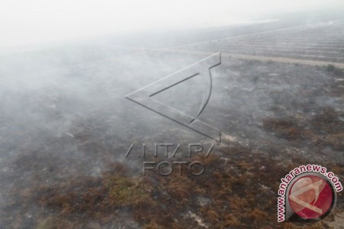 Dua Kecamatan Terparah Kebakaran Lahan Kotawaringin Timur 