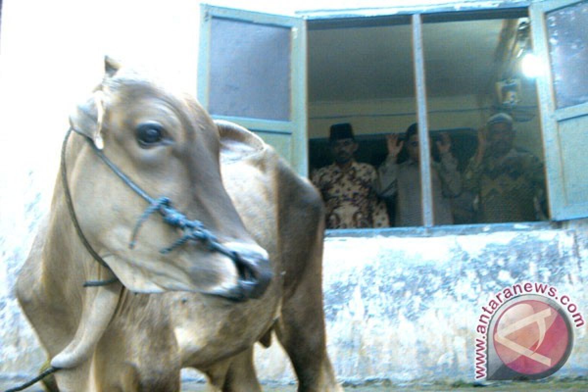 Dompet Dhuafa siap jemput kurban