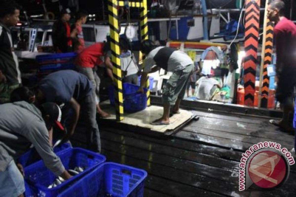 Aktivitas Nelayan di Pelabuhan Rakyat Bontang Dihentikan Sementara