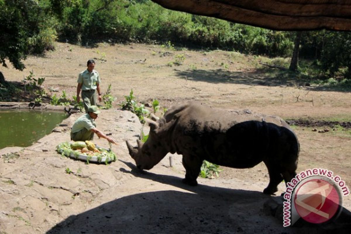 Taman Safari Targetkan Kenaikan 20 Persen Pengunjung