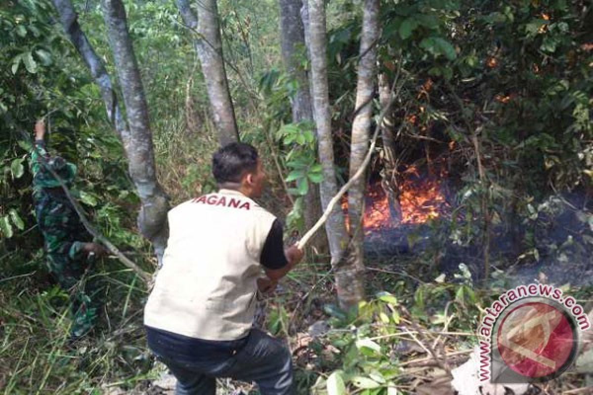 Hutan Di Desa Bojongkembar Sukabumi Terbakar