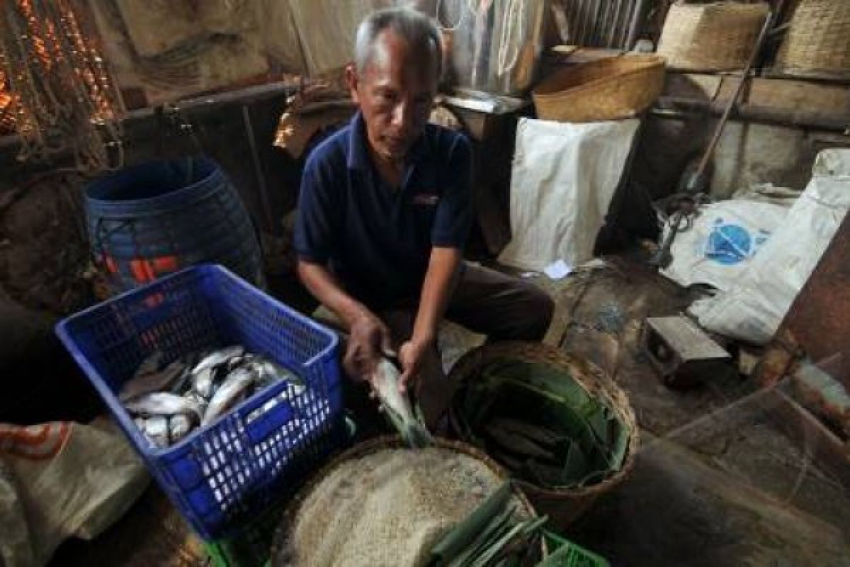 Pakar: Makan ikan langsung lebih baik ketimbang ikan olahan