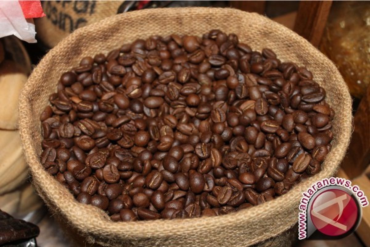  Baru dua hari pameran, kopi Indonesia cetak transaksi 18 juta dolar