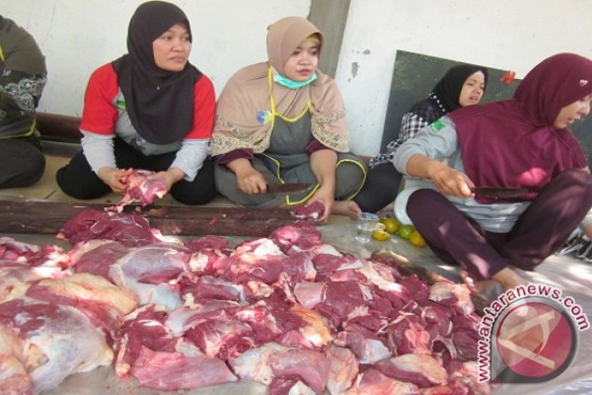 Petugas Periksa Kualitas Daging Kurban di Kediri 