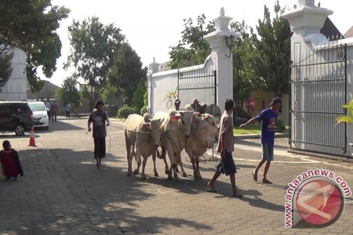 RPH Giwangan Yogyakarta buka pendaftaran penyembelihan hewan kurban