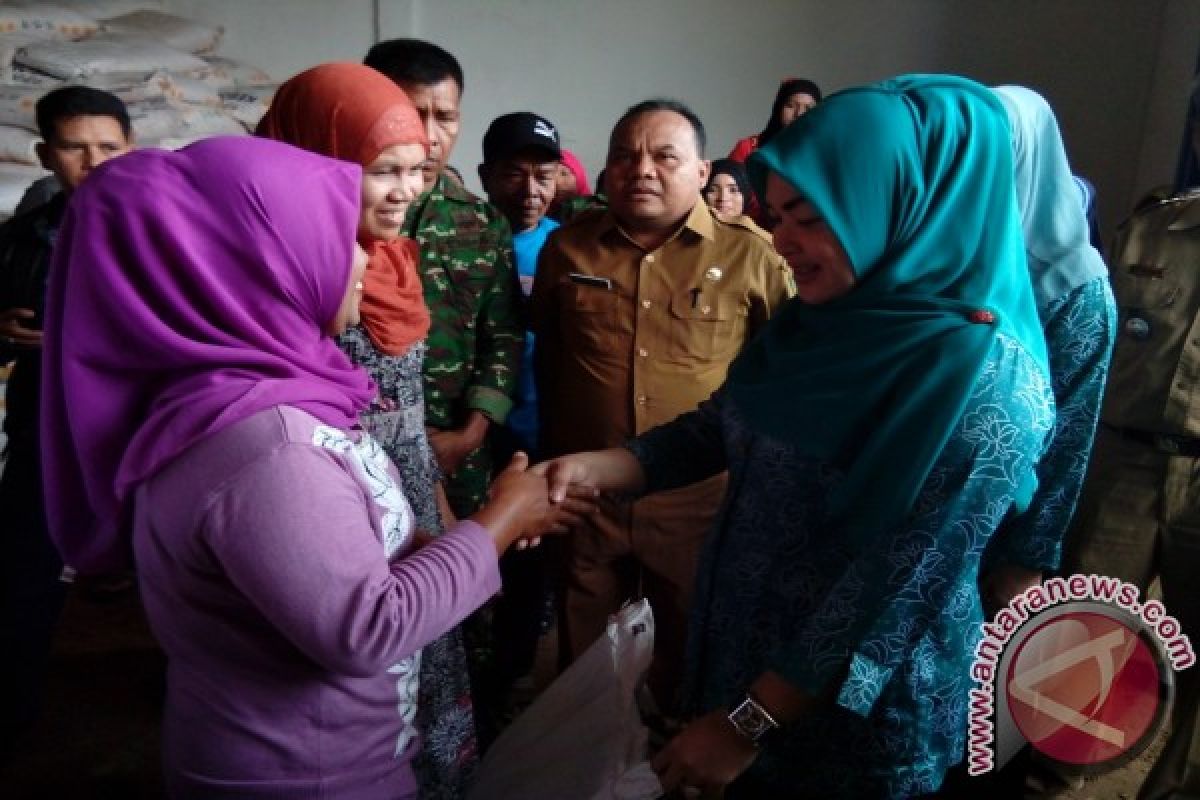 Ketua Pkk Madina Serahkan Bantuan Pupuk