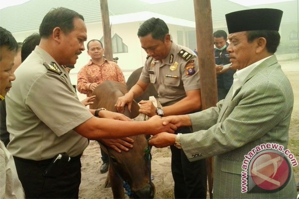 Tanjung Lingga dan CBI Bagikan 171 Sapi Kurban