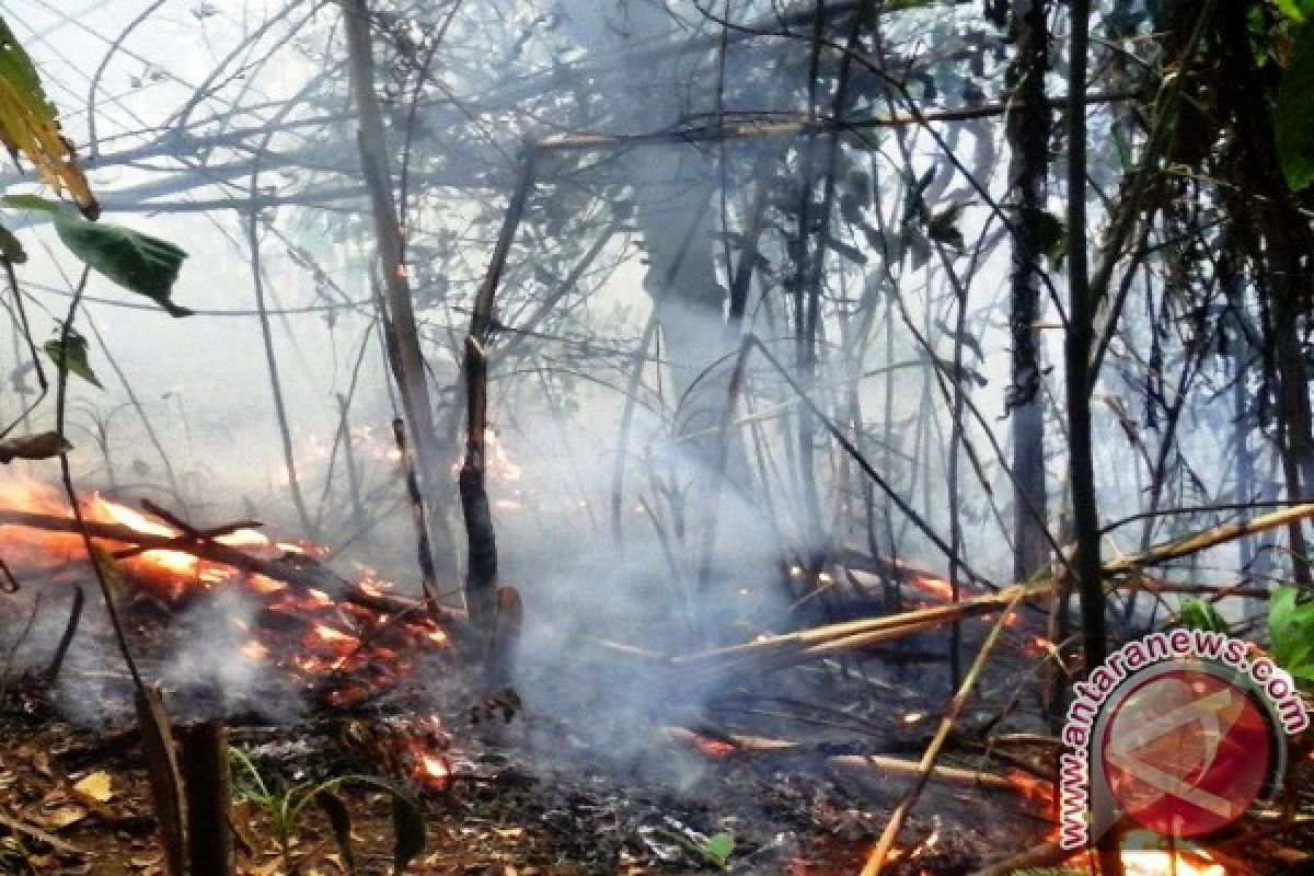 Pemkot Berupaya Padamkan Kebakaran Hutan di Gamalama