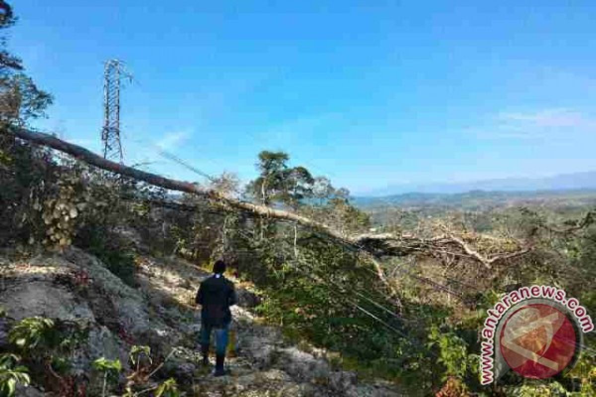 PLN Suluttenggo percepat pemulihan pasokan listrik