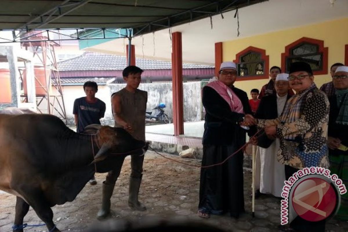 Universitas Muhammadiyah Palembang sembelih 36 hewan kurban