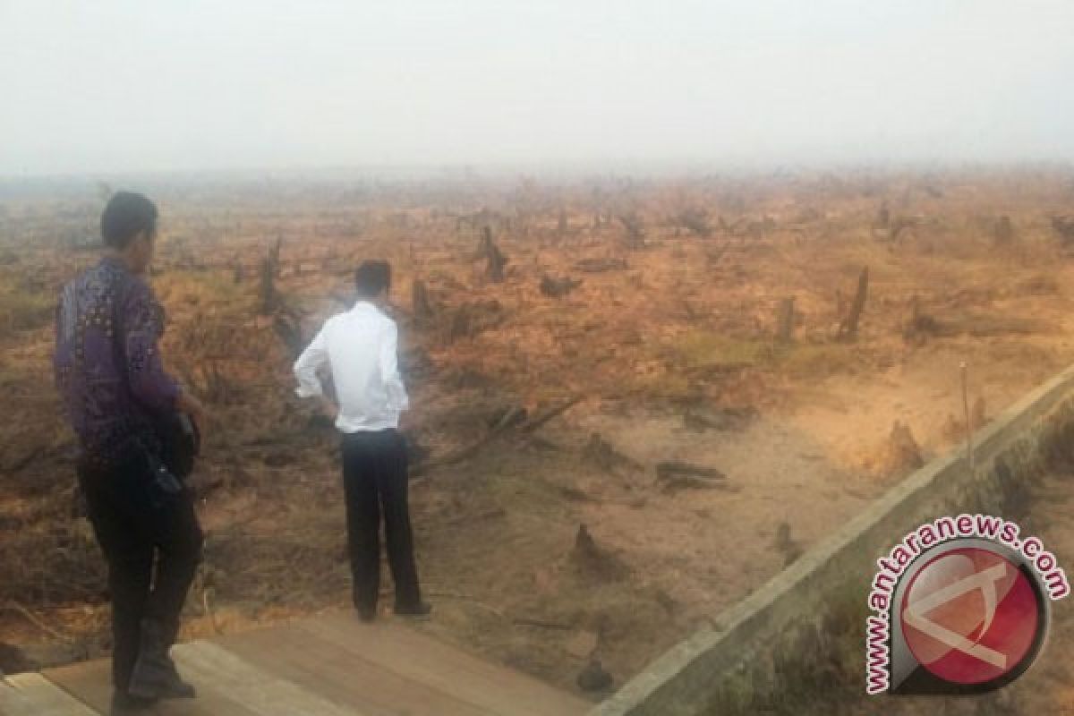 Presiden Mendadak Tinjau Ulang Lokasi Penanganan Kebakaran