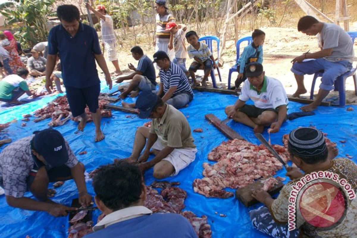 Warga Sukarame Bandarlampung Kurban Belasan Ekor Sapi