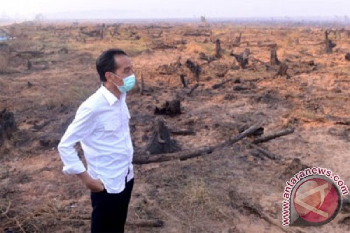 Presiden batal ke Riau-Jambi akibat pekatnya asap