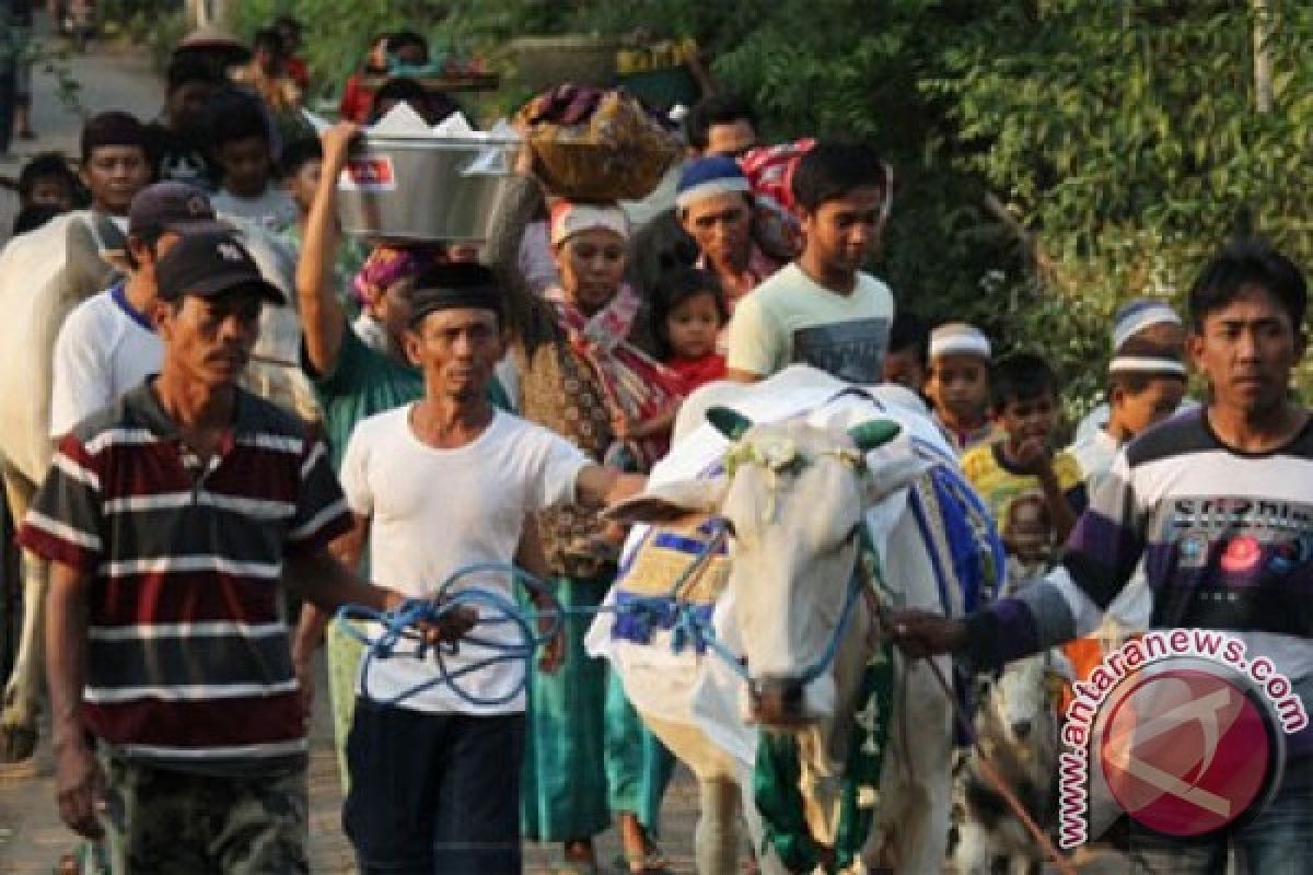 Ketika hewan kurban diarak keliling jalan desa