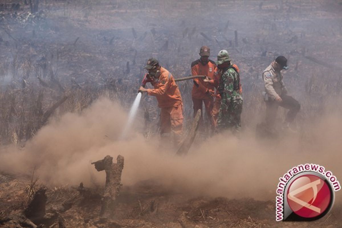 DPRD Kotabaru pelajari aturan membakar lahan